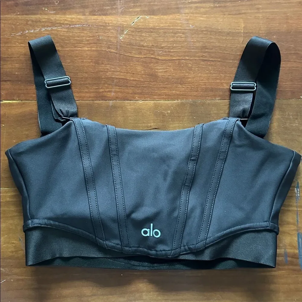 ALO Yoga brown corset sport bra